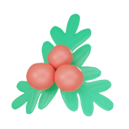 Mistletoe  3D Icon