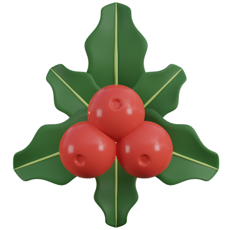 Mistletoe  3D Icon