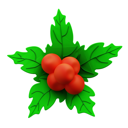 Mistletoe  3D Icon