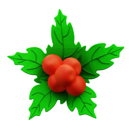 Mistletoe  3D Icon