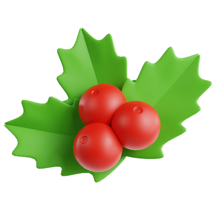 Mistletoe  3D Icon