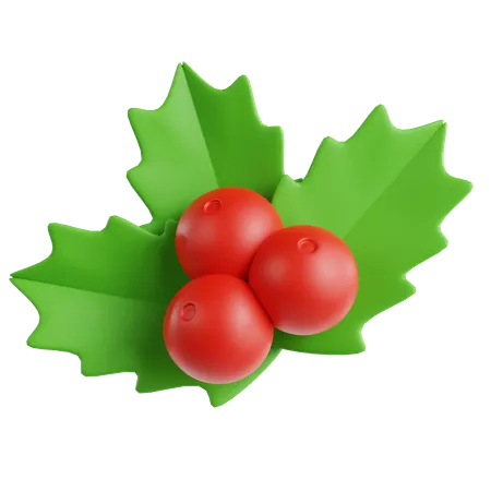 Mistletoe  3D Icon