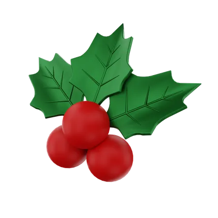 Mistletoe  3D Icon