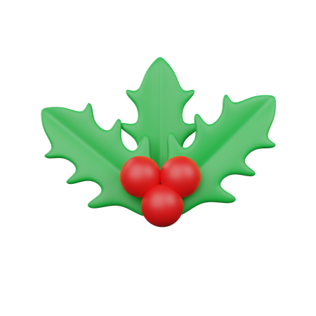 Mistletoe  3D Icon