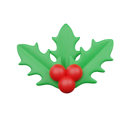 Mistletoe  3D Icon