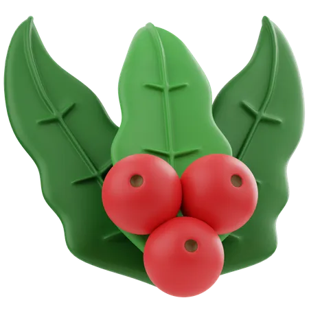 Mistletoe  3D Icon