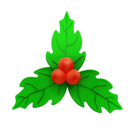 Mistletoe  3D Icon