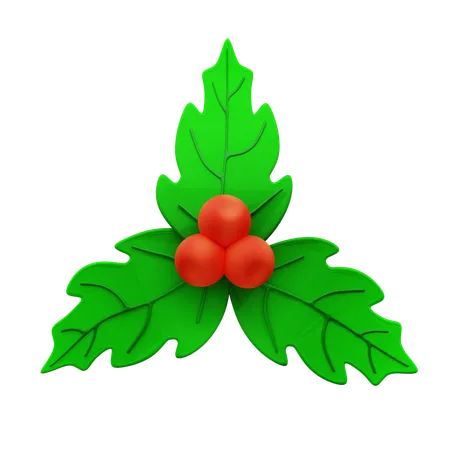 Mistletoe  3D Icon