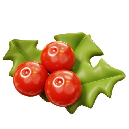 Mistletoe  3D Icon