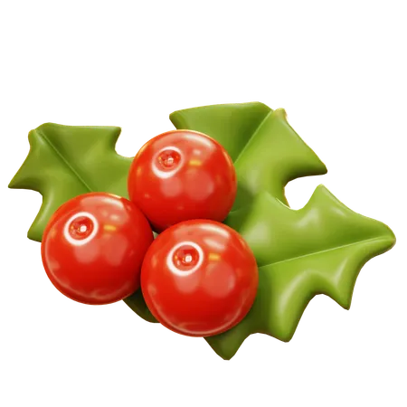 Mistletoe  3D Icon