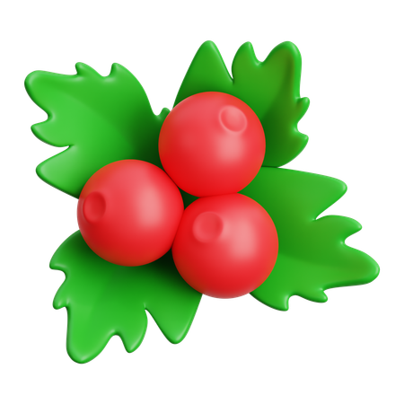 Mistletoe  3D Icon