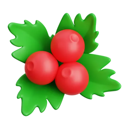 Mistletoe  3D Icon