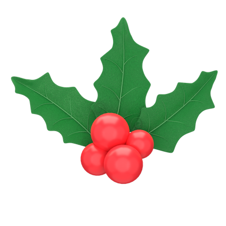 Mistletoe  3D Icon