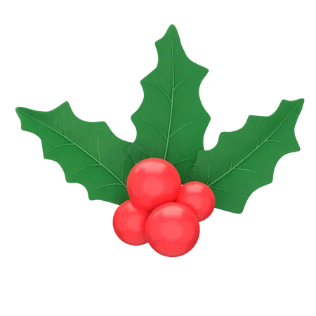 Mistletoe  3D Icon