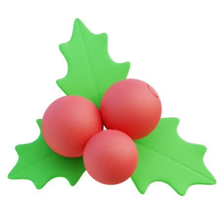 Mistletoe  3D Icon