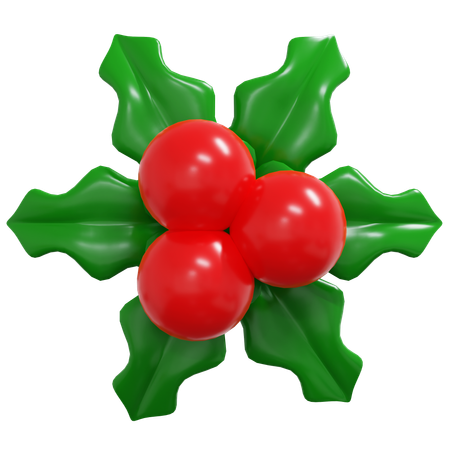 Mistletoe  3D Icon