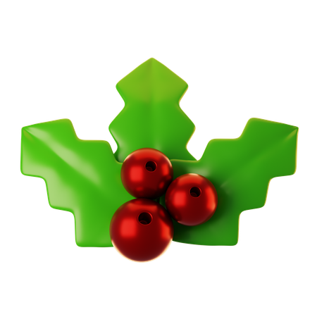 Mistletoe  3D Icon