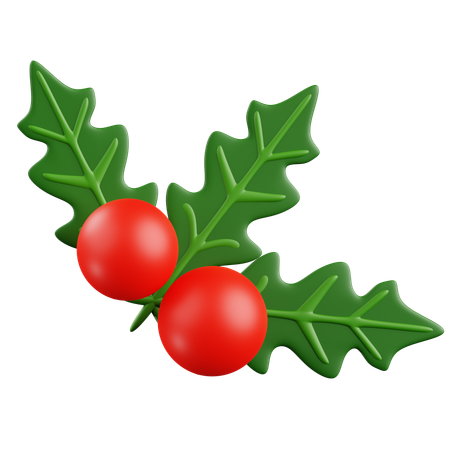 Mistletoe  3D Icon