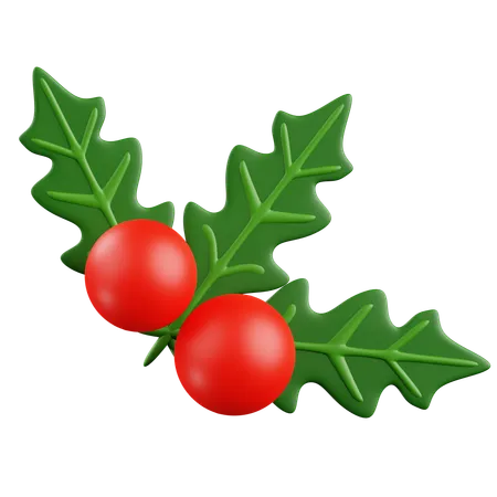 Mistletoe  3D Icon