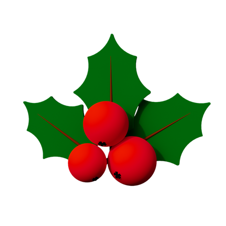 Mistletoe  3D Icon