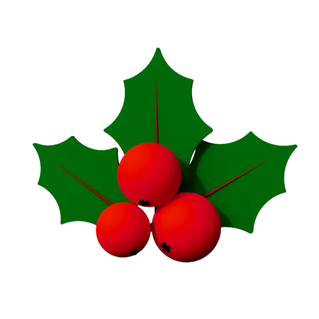 Mistletoe  3D Icon