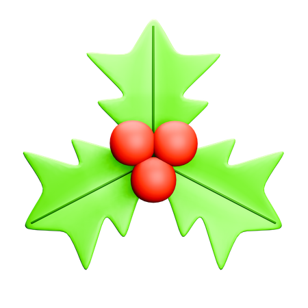 Mistletoe  3D Icon