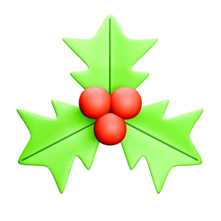 Mistletoe  3D Icon