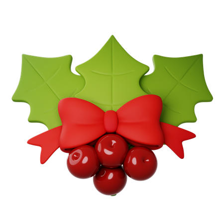 Mistletoe  3D Icon