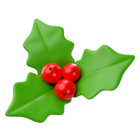 Mistletoe  3D Icon