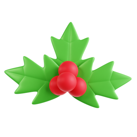 Mistletoe  3D Icon