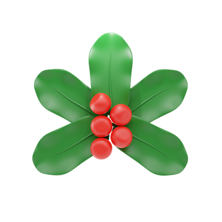 Mistletoe  3D Icon