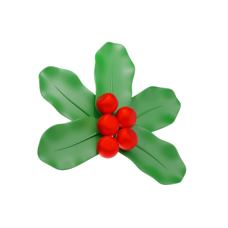 Mistletoe  3D Icon