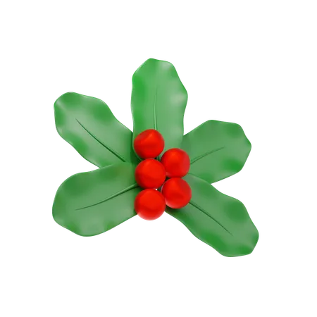 Mistletoe  3D Icon