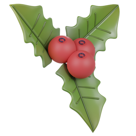 Mistletoe  3D Icon