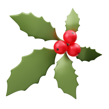 Mistletoe  3D Illustration