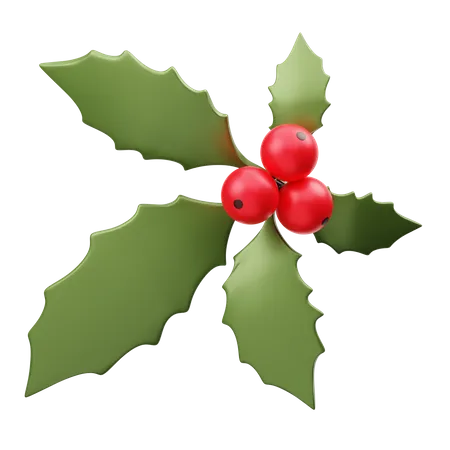 Mistletoe  3D Illustration