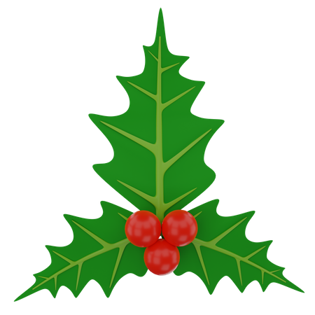 Mistletoe  3D Illustration