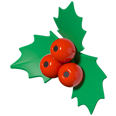 Mistletoe  3D Illustration