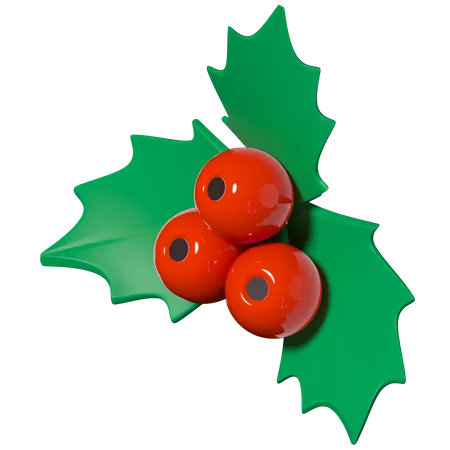 Mistletoe  3D Illustration