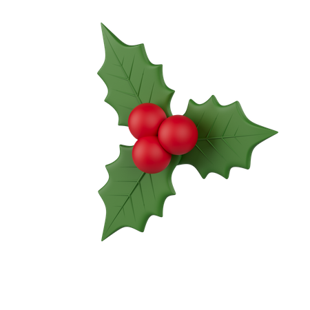 Mistletoe 3D Illustration