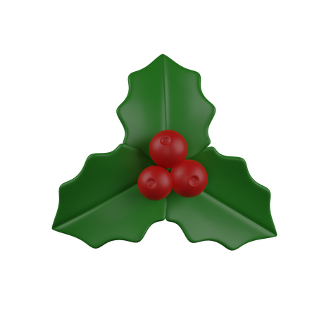 Mistletoe Berry  3D Icon