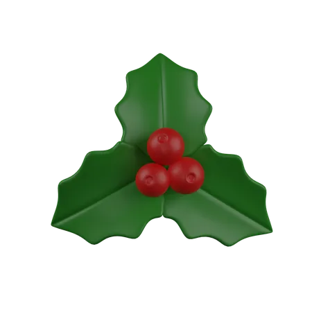 Mistletoe Berry  3D Icon