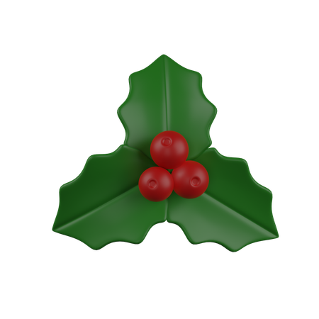 Mistletoe Berry  3D Icon