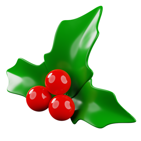 Mistletue  3D Icon