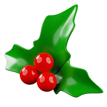 Mistletue  3D Icon