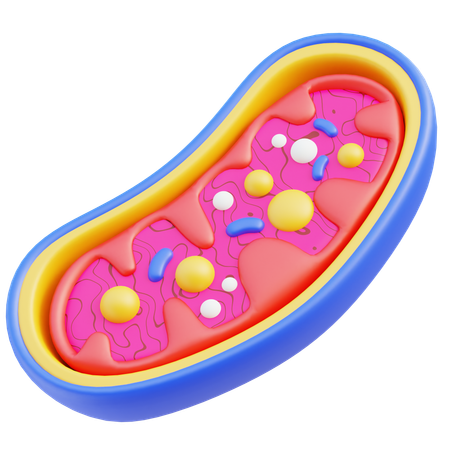 Mitochondria  3D Icon