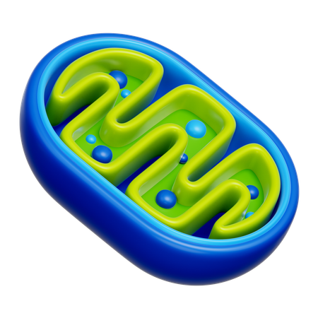 미토콘드리아  3D Icon