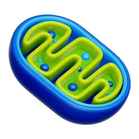 미토콘드리아  3D Icon