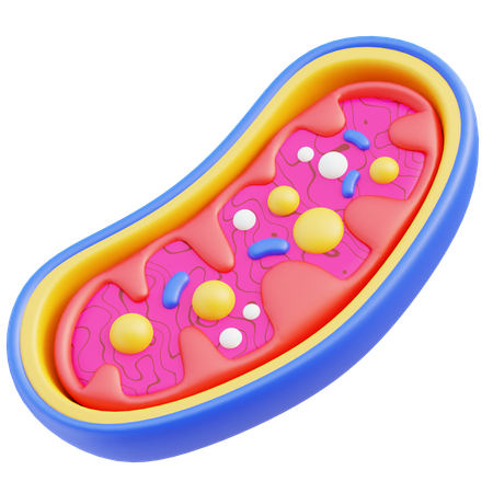 Mitochondria  3D Icon