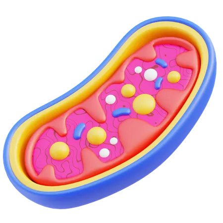 Mitochondria  3D Icon